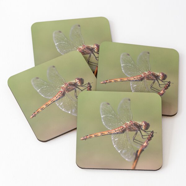 Item preview, Vagrant Darter designed and sold by cuprum.
