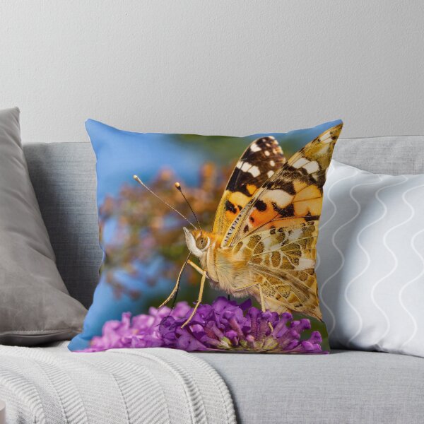 Item preview, Painted Lady Butterfly. designed and sold by Postywood.