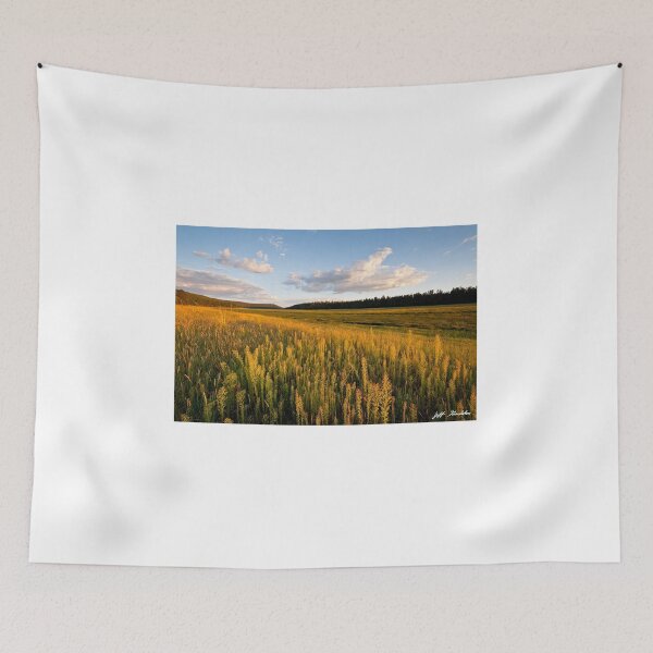 Item preview, Lower Lake Mary at Sunset designed and sold by Jeff Goulden Photography.