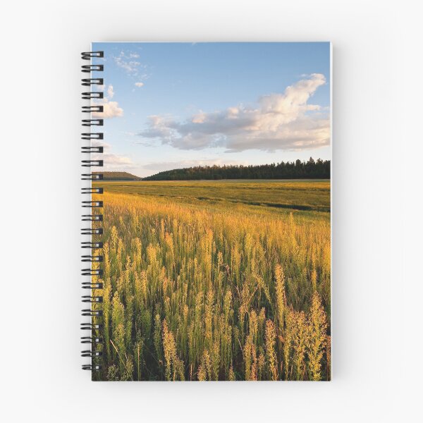 Item preview, Lower Lake Mary at Sunset designed and sold by Jeff Goulden Photography.