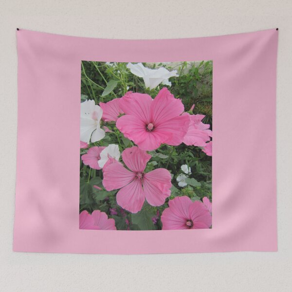 Item preview, Annual Lavatera (Mallow) designed and sold by lezvee.