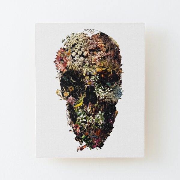 Smyrna Skull Wood Mounted Print