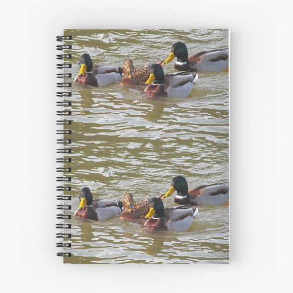 Item preview, Four ducks on the water designed and sold by Ancuta Ianc.