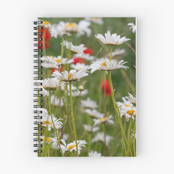 Item preview, Suffolk field edge with daisies and poppies designed and sold by ccullen222.
