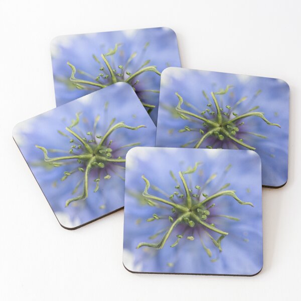 Item preview, Nigella Damascena - Love In The Mist flower head designed and sold by ccullen222.