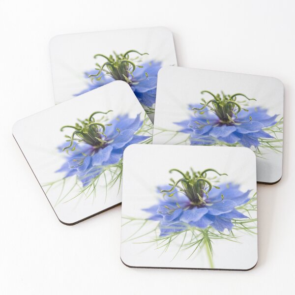 Item preview, Love In The Mist - Nigella Damascena designed and sold by ccullen222.