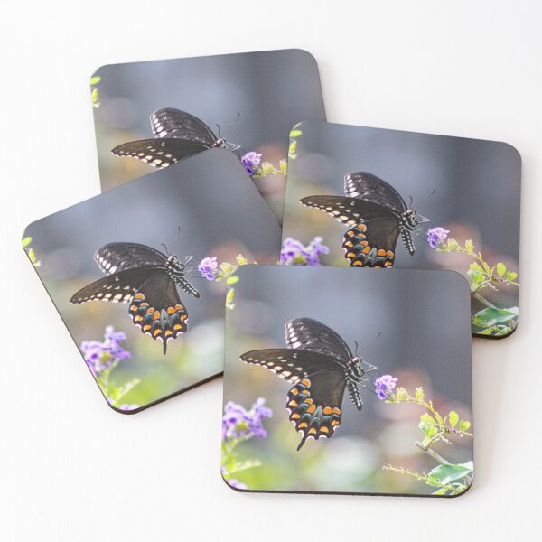 Item preview, Black Beauty designed and sold by Bob Hardy.