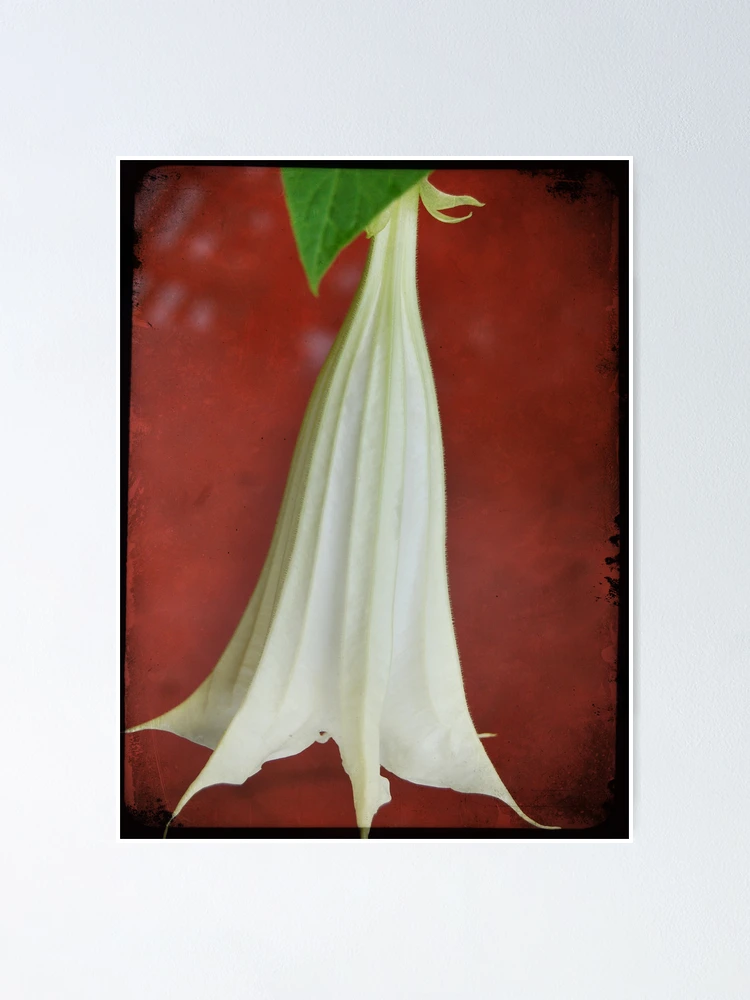 Thumbnail 1 of 3, Poster, Bell designed and sold by Rozalia Toth.