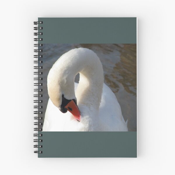 Item preview, Shy swan hiding its head designed and sold by Ancuta Ianc.