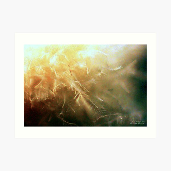 X'mas Firework Art Print