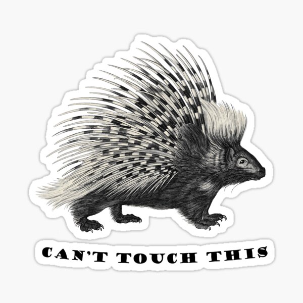 Star Stickers – Porcupine Stickers