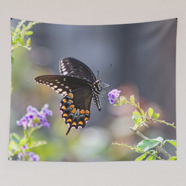 Item preview, Black Beauty designed and sold by Bob Hardy.