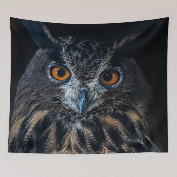 Item preview, Eagle Owl designed and sold by JBlaminsky.