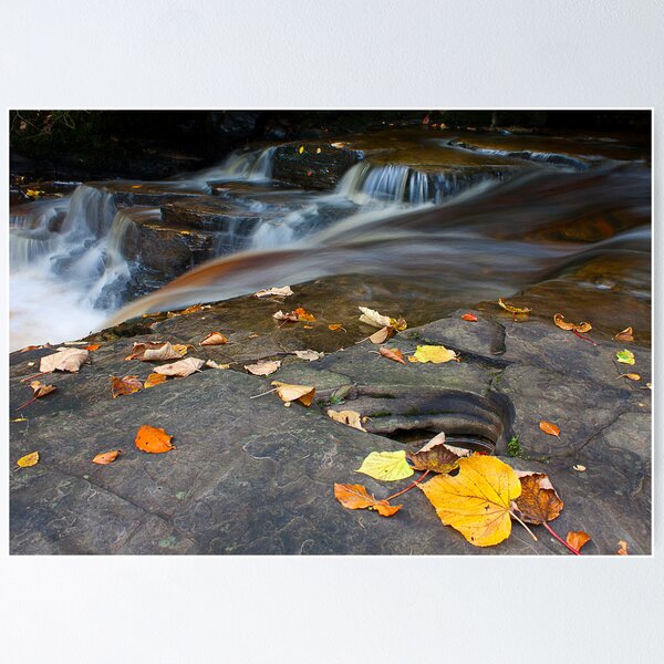 Item preview, Dean Park. designed and sold by Paul Messenger.