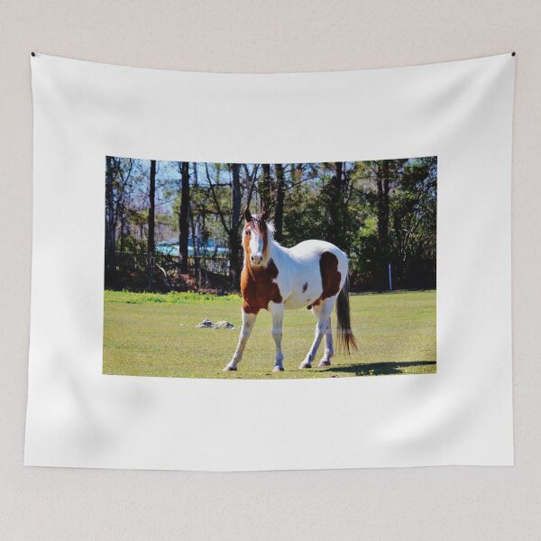 Item preview, White And Brown Horse designed and sold by Cynthia48.