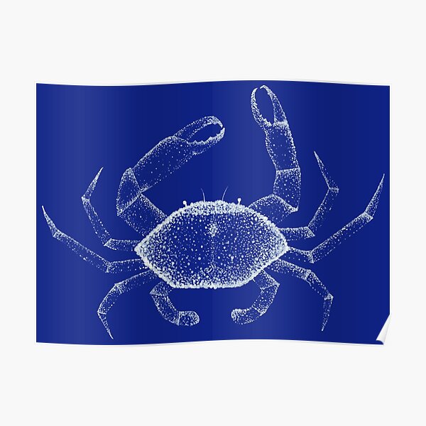 Ghost crab Poster