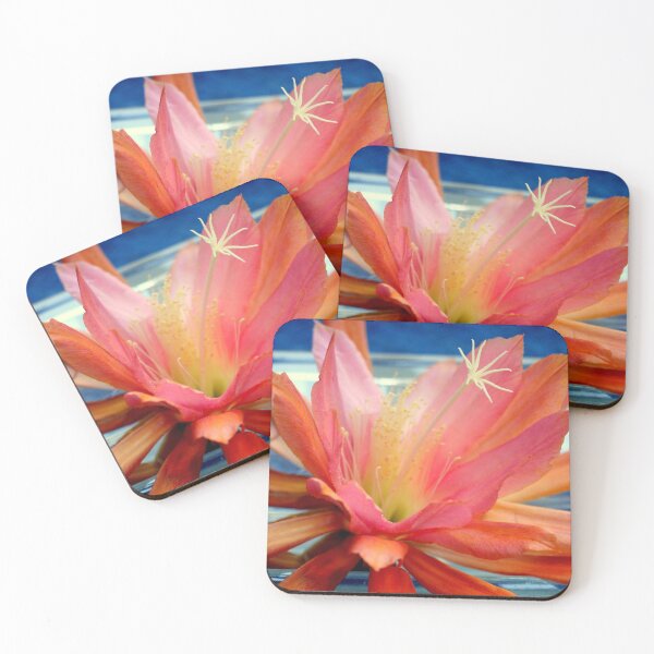 Item preview, The Water Lily Cactus designed and sold by Michael May.