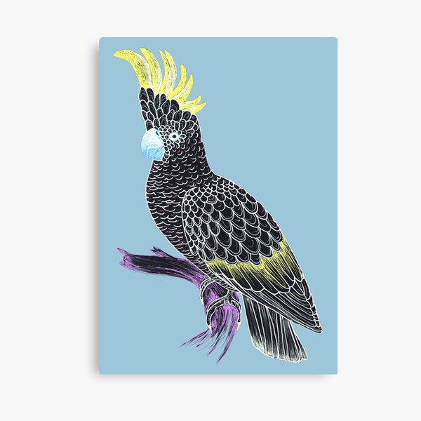 Black Cockatoo Canvas Print