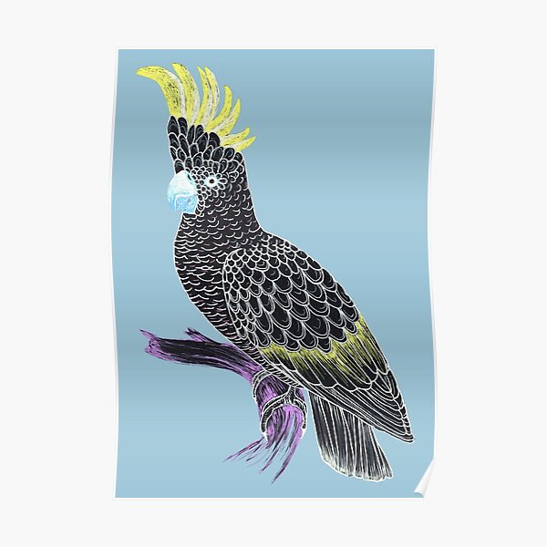 Black Cockatoo Poster