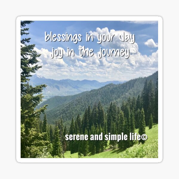 Item preview,  blessings in your day    joy in the journey accent pillow designed and sold by sayitdisplayit.