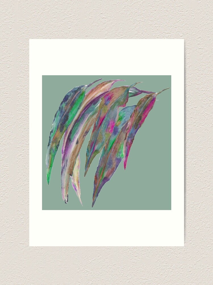 "Abstract gum leaves " Art Print for Sale by KTodman Redbubble
