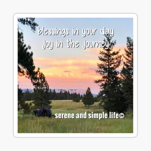 Item preview,   blessings in your day    joy in the journey accent pillow designed and sold by sayitdisplayit.