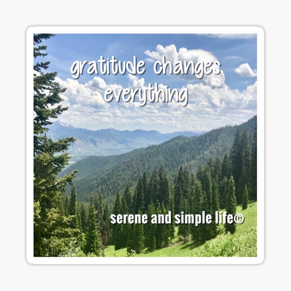 Item preview, gratitude changes everything accent pillow designed and sold by sayitdisplayit.