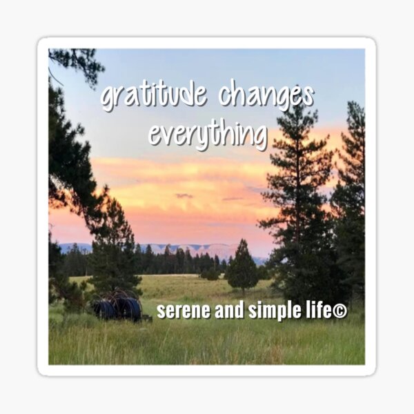Item preview,  gratitude changes everything accent pillow designed and sold by sayitdisplayit.