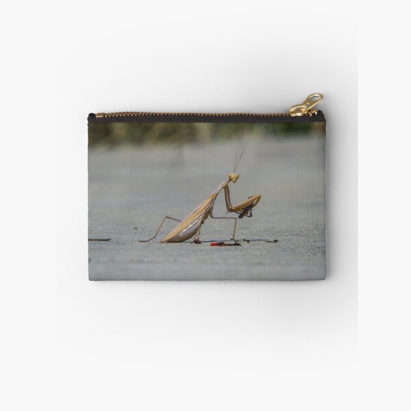 Item preview, Praying Mantis Lunchtime designed and sold by Brandon Batie.
