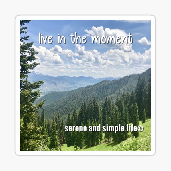 live in the moment accent pillow Sticker