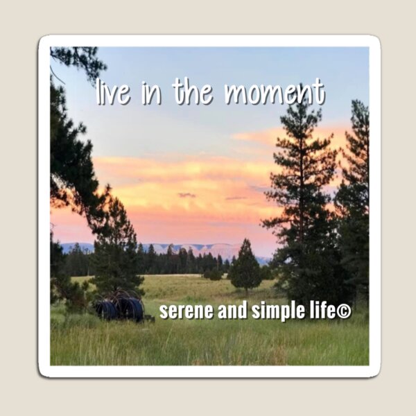 Item preview,   live in the moment accent pillow designed and sold by sayitdisplayit.
