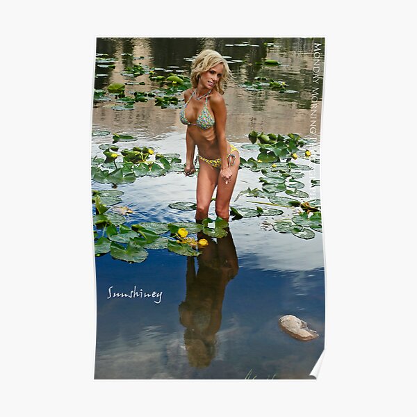 Beauty in the Mirror Poster