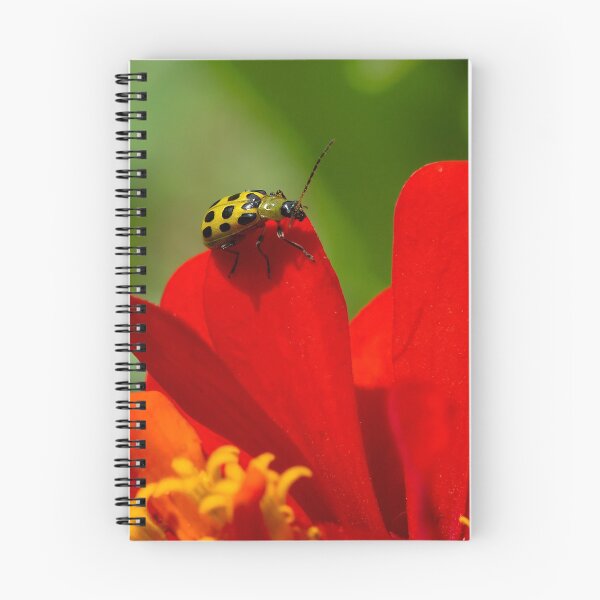 Item preview, Beetle With a Heart Shaped Spot designed and sold by Brenda Burnett.