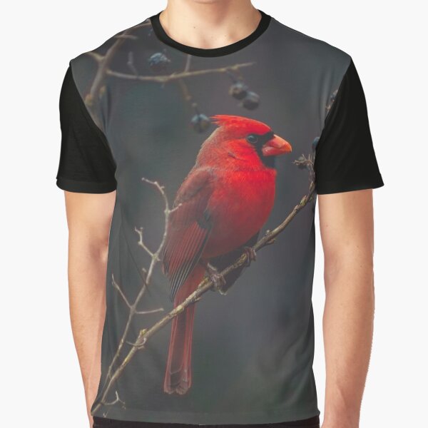 penandinkdesign@hotmail.com Red Bird Vintage Design T-Shirt