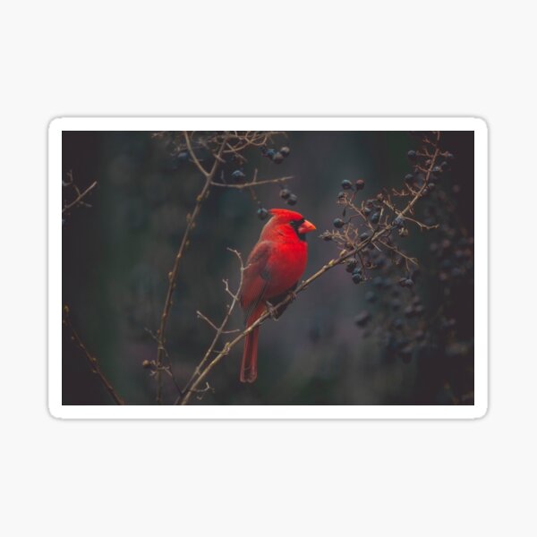 Religious Stickers — Red Bird Ministries