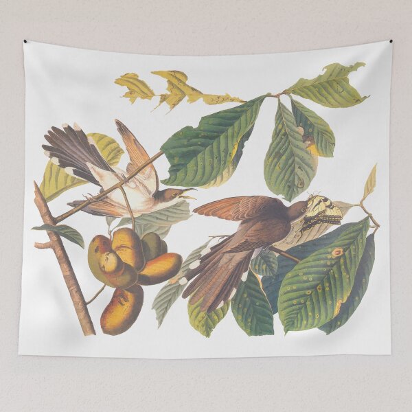 Item preview, Audubon's Yellow Billed Cuckoo designed and sold by Candice Davis.