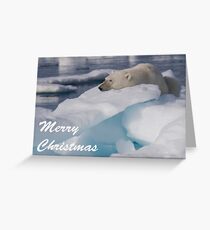 Polar Bear - Merry Christmas Card Greeting Card