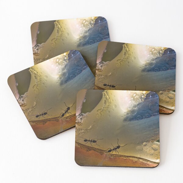 Item preview, Ants in paradise designed and sold by Art in Nature.