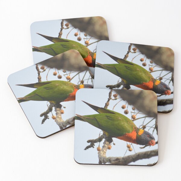 Item preview, Garden Visitor- Rainbow Lorikeet- New Zealand Birds designed and sold by lizdomett.
