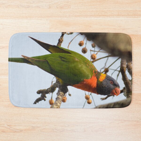 Item preview, Garden Visitor- Rainbow Lorikeet- New Zealand Birds designed and sold by lizdomett.