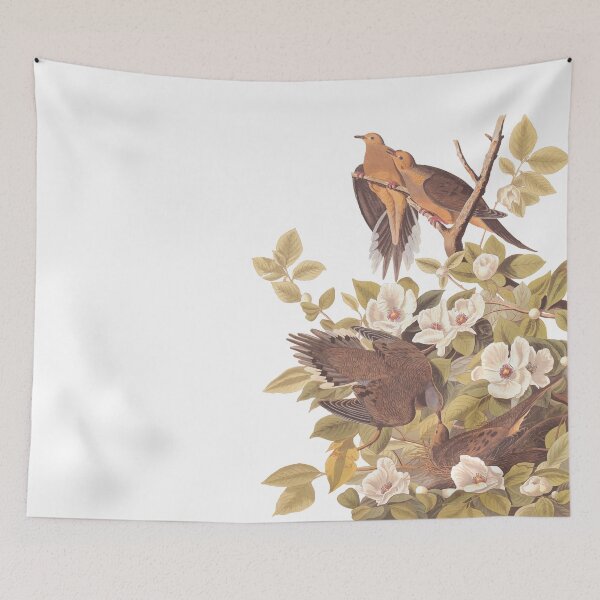 Item preview, Audubon's Carolina Pigeon / Turtle Dove designed and sold by Candice Davis.