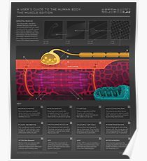 A user's guide to muscles Poster