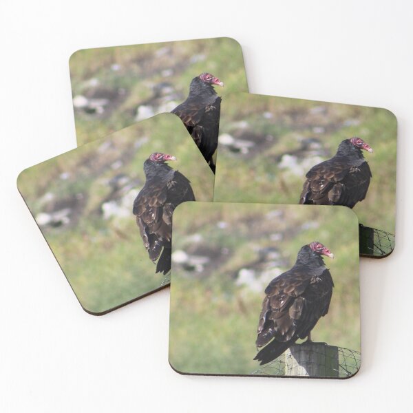 Item preview, Turkey Vulture designed and sold by traceh38.