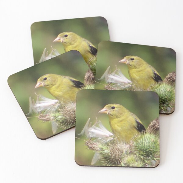 Item preview, Finch designed and sold by traceh38.