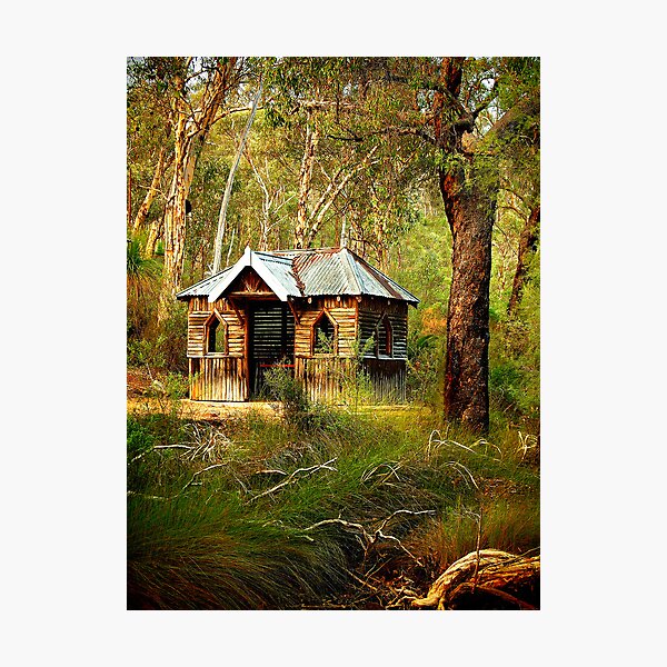 Item preview, "Amongst The Gums" designed and sold by Heather Thorning.