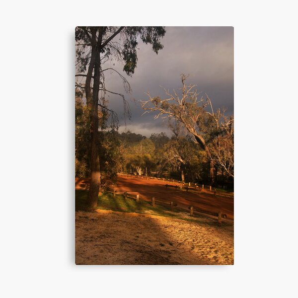 "Filtered Shades Of Light" Canvas Print