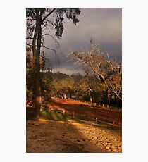 "Filtered Shades Of Light" Photographic Print