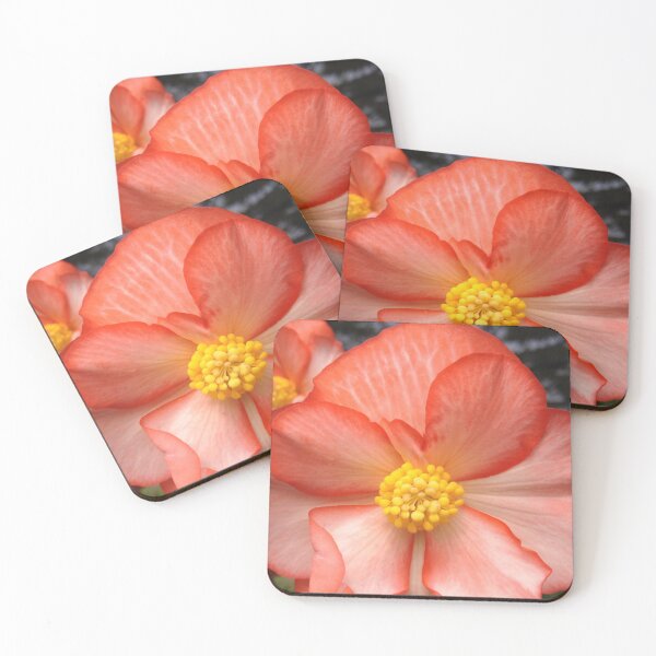 Item preview, Gift designed and sold by Chez Robinson.