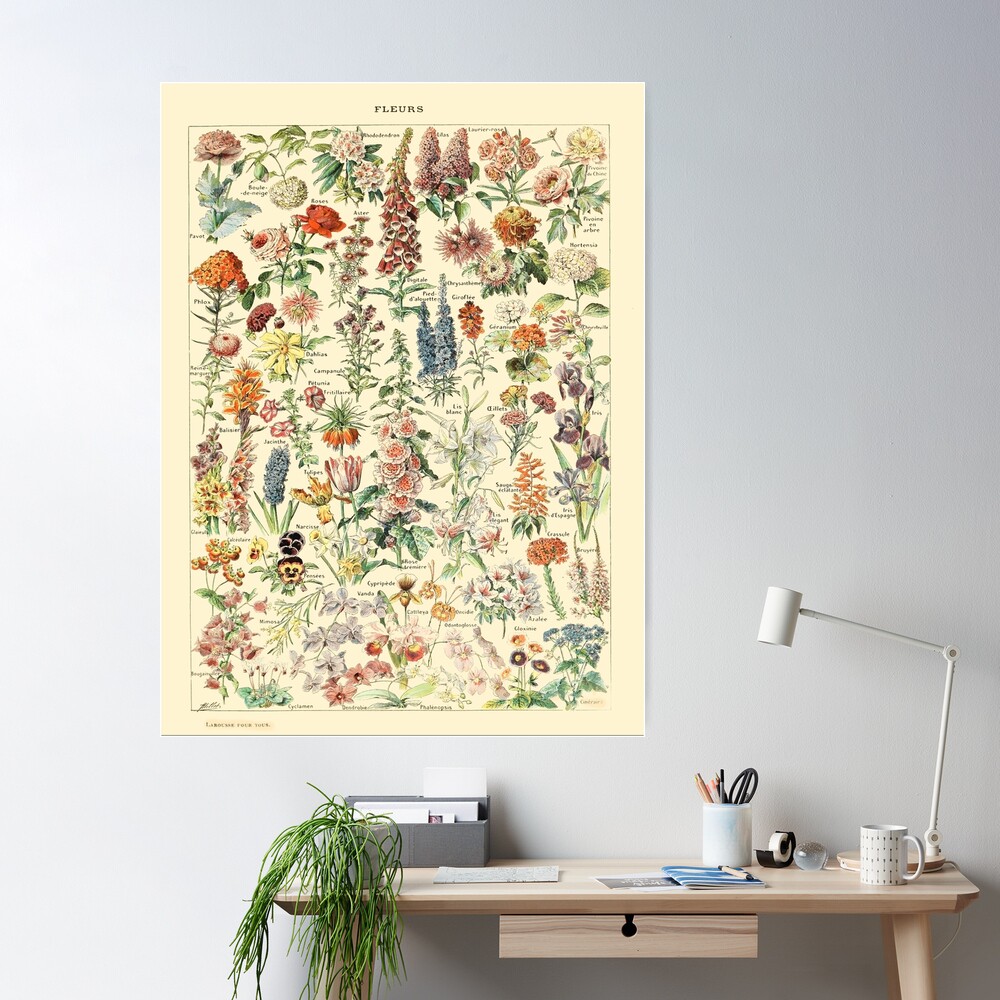 Larousse Vintage Botanical Wall Art Flower Poster\