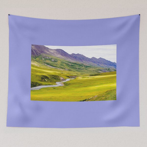 Item preview, The Brooks range Alaska designed and sold by raymona pooler.